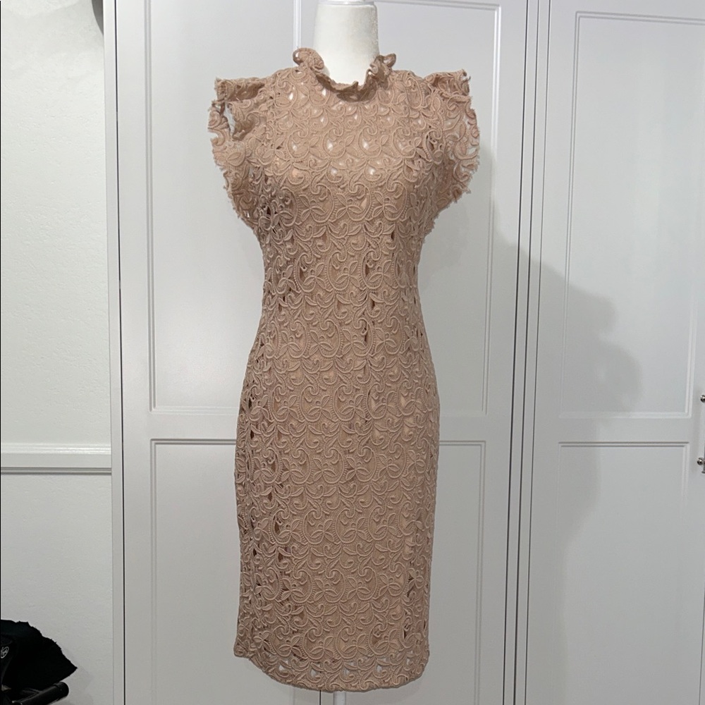 Zara Nude Pink Blush Lace Dress